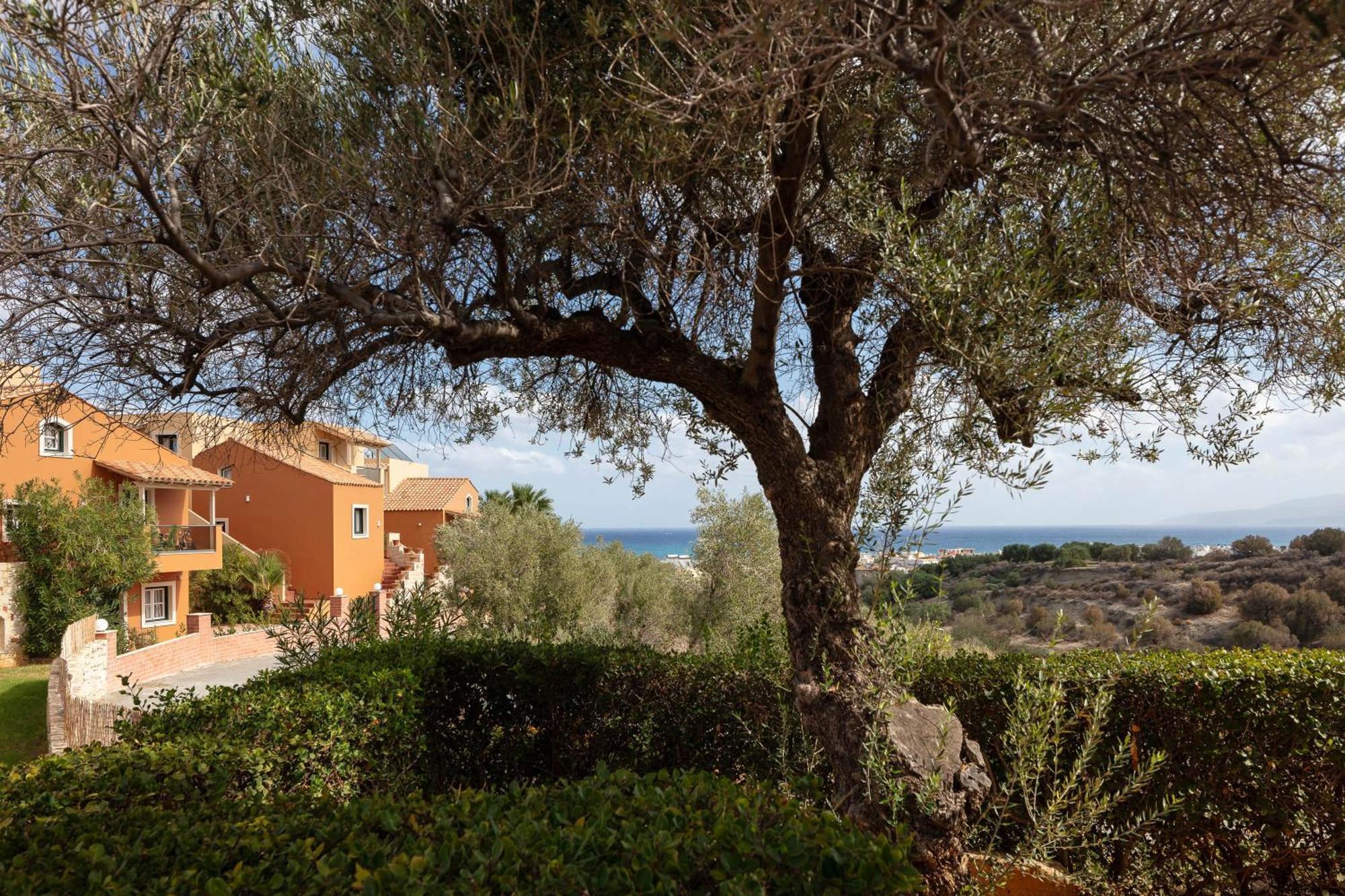 Dia Apartments Hersonissos  Zewnętrze zdjęcie